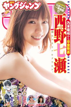 醉打金枝 电视剧